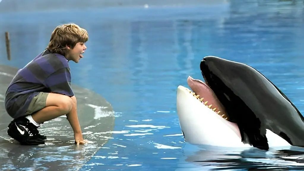 Confirman una nueva película de ‘Liberen a Willy’; conoce los detalles