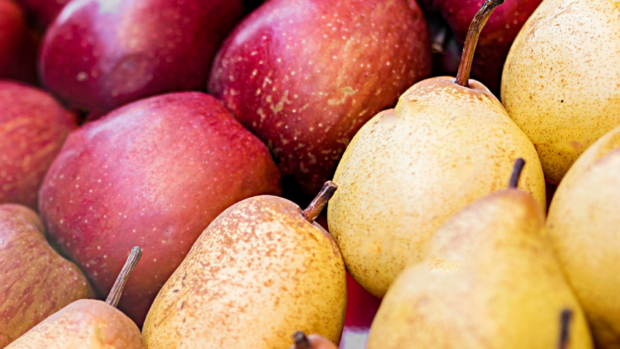 ¿Manzana o pera? Esta es la fruta que podría ayudar más a controlar el azúcar en sangre